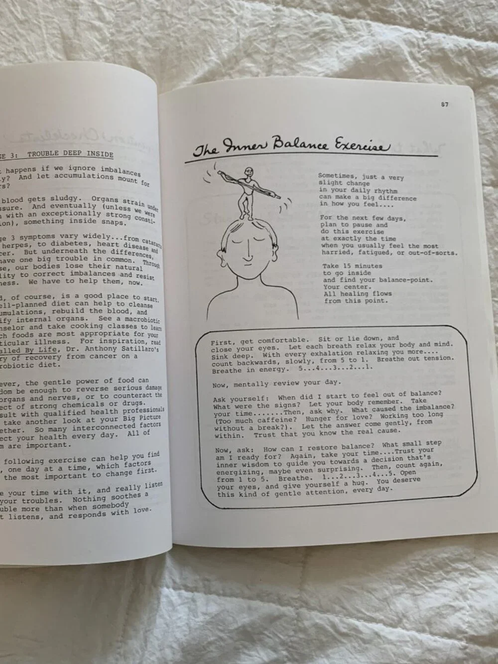 Vintage Whole Foods Cookbooks (2) Jean Hewitt NYT & Kristina Turner